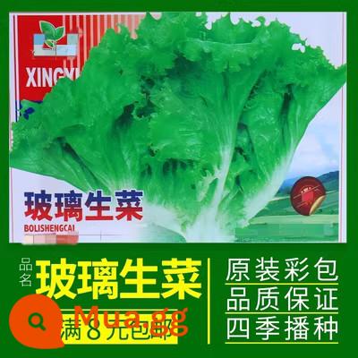 Sân ban công Hạt giống hẹ bốn mùa Hạt giống rau củ hành xanh trong chậu Gieo hạt bốn mùa Hạt giống rau quả dễ dàng - Xà lách bốn mùa 3 gói (chính hãng)