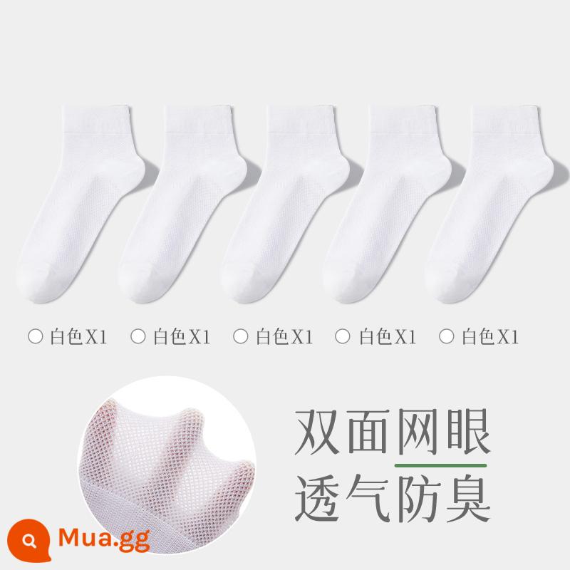 Tất nam mùa thu đông Tất dài đến bắp chân bằng cotton không nguyên chất, chống mùi, thấm mồ hôi Tất nam mỏng dạng lưới thoáng khí mùa hè Tất vô hình - [Đôi ống giữa-5] Trắng