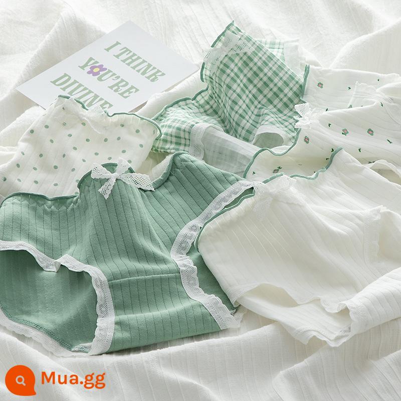 Quần lót cotton cho bé gái từ trung tuổi trở lên quần an toàn quần sịp cotton cho bé gái 100% cotton kháng khuẩn 12-15 tuổi - Combo 5 món xanh tươi mới