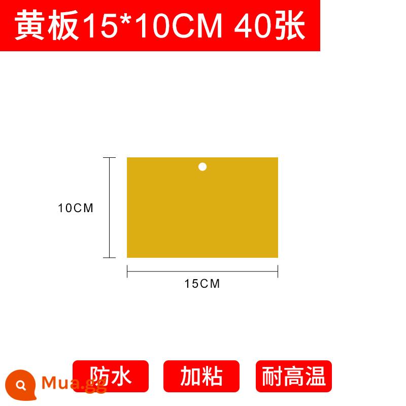 Dính bảng côn trùng nhà kính bảng màu vàng đặc biệt hai mặt ruồi đen nhỏ bẫy ruồi giấm bẫy côn trùng bảng nhãn dán hộ gia đình nông nghiệp bọ trĩ - Bảng vàng 15×10cm 40 tờ