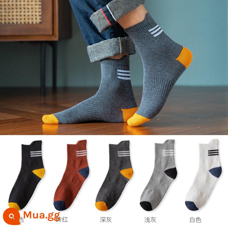 Zhuji Sock Men's Mid -winter Dilemma Anti -dat, Sweat, Black White Boys Spring và Winter Non -cotton Sports Stockings - Ba dải ở gót chân (đen + đỏ gạch + xám đậm + xám nhạt + trắng) [tổng cộng 5 đôi]