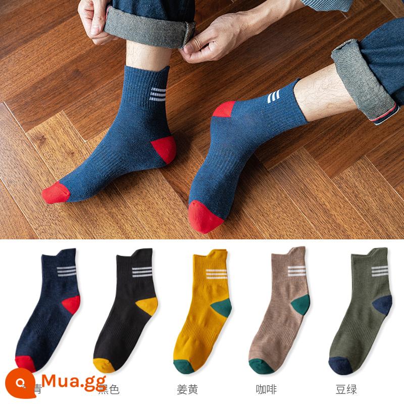 Vớ nam tính giữa, mồ hôi, mùa xuân đen, mùa thu và mùa đông nam không -cotton Stockings Thể thao Hệ thống Nhật Bản - Xanh navy + đen + nghệ + cà phê + xanh đậu (năm đôi)