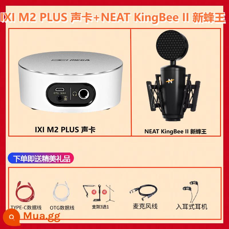 IXI MEGA M2 M2PLUS M8 card âm thanh ghi âm trực tiếp karaoke USB internet bên ngoài người nổi tiếng phát sóng trực tiếp thiết bị - Card âm thanh M2 PLUS+KING BEE II+tinh chỉnh trực tiếp+quà tặng