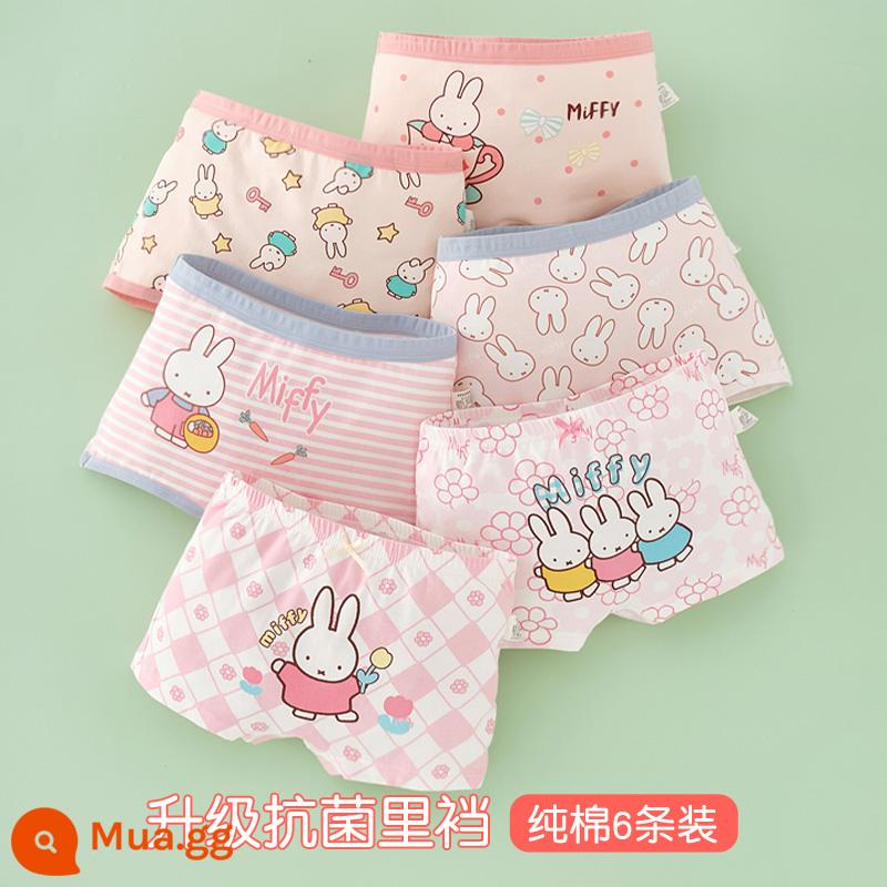 Quần lót trẻ em bé gái cotton boxer bé gái tam giác vuông quần đùi cotton bé gái bé gái quần lót 100% - Miffy 788+7029 kiểu boxer (6 miếng cotton nguyên chất kháng khuẩn)