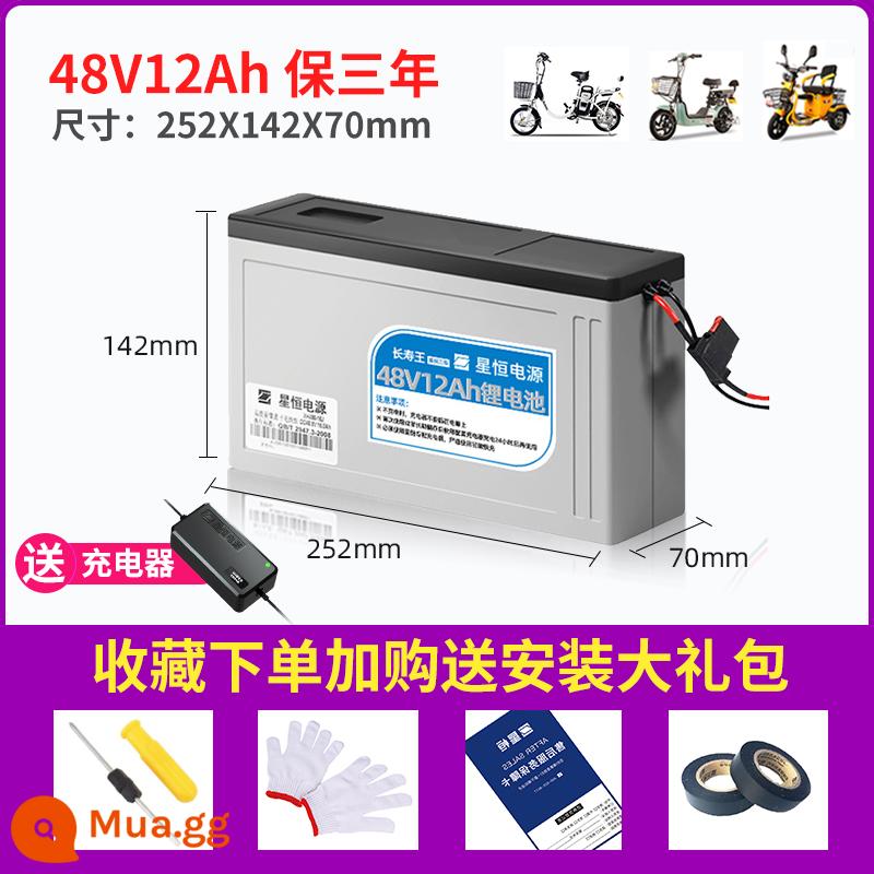 Pin Lithium Xinngheng 48v12ah15AhJ Nguồn Xanh Ngày Mới Emaya Digiant Xe Điện Pin Lithium 48V - Vua trường thọ 48V12Ah kèm sạc pinzi 2A