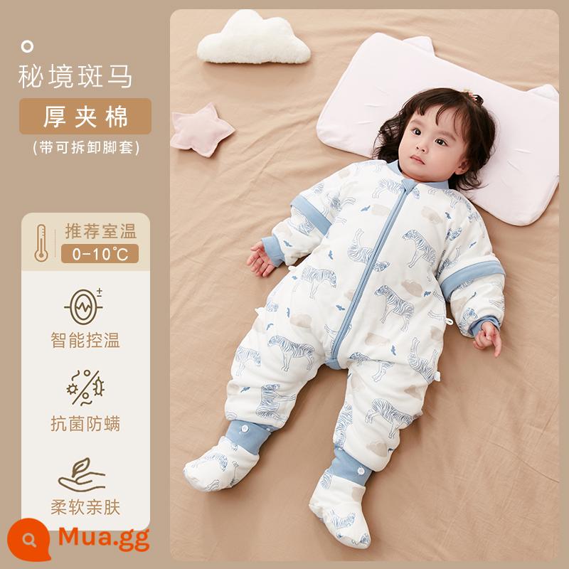 Qinxinyafang túi ngủ cho bé mùa thu đông cotton nguyên chất chăn bông chống đá cho bé tách chân túi ngủ nhiệt độ không đổi phổ biến cho tất cả các mùa - Cảm biến nhiệt độ có thể nhìn thấy bằng vải cotton có nhiệt độ không đổi dày [với bao chân được khuyến nghị 0-10 độ] Secret Zebra