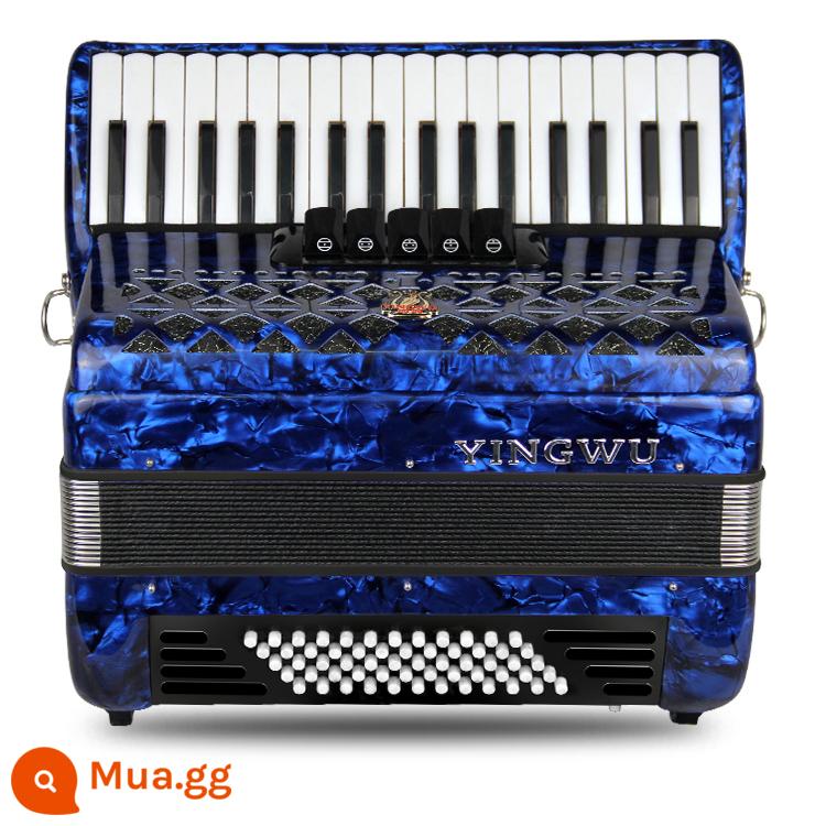 Vẹt Accordion 8/32/48/60/96/120 Bass Ba hoặc Bốn Hàng Lò Xo Phím Accordion dành cho Người Mới Bắt Đầu Chơi - 60 trầm xanh YW-823