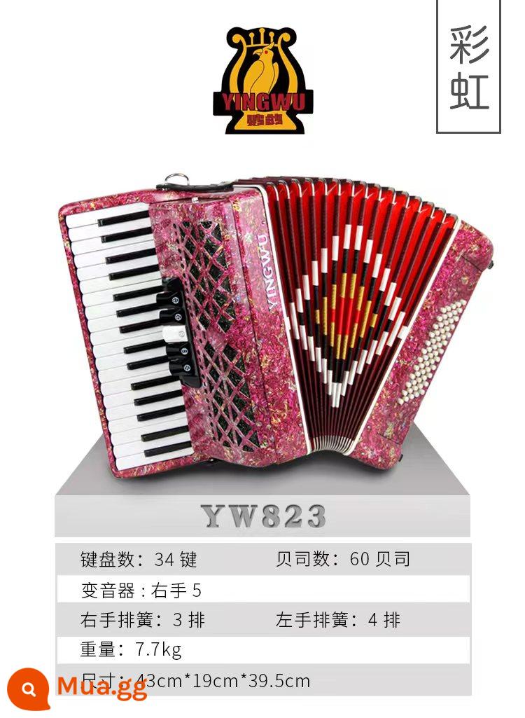 Vẹt Accordion 8/32/48/60/96/120 Bass Ba hoặc Bốn Hàng Lò Xo Phím Accordion dành cho Người Mới Bắt Đầu Chơi - 60 bass màu cầu vồng YW-823