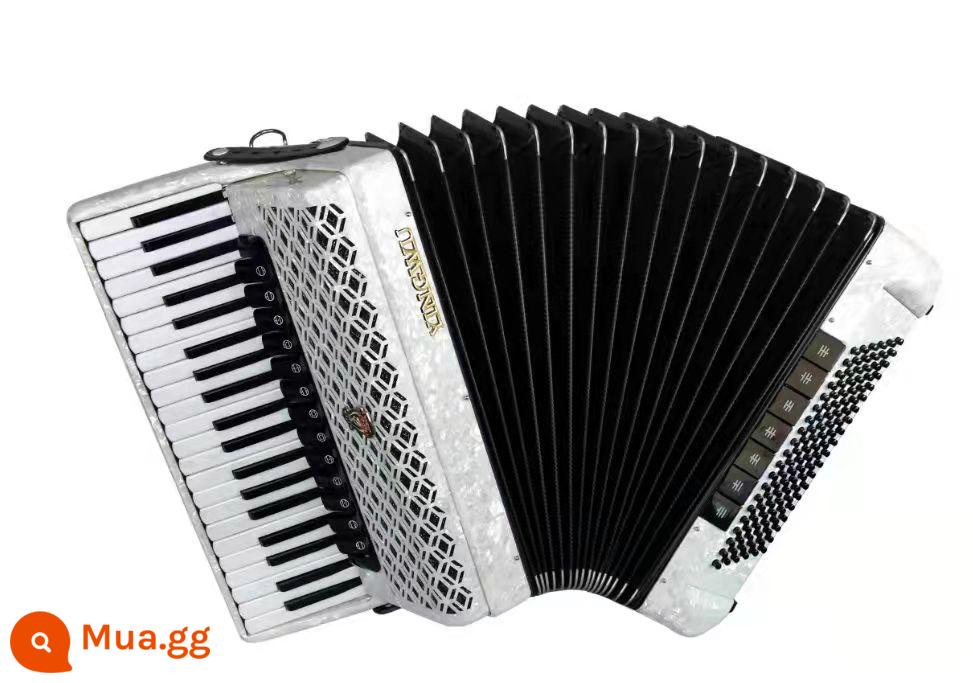 Vẹt Accordion 8/32/48/60/96/120 Bass Ba hoặc Bốn Hàng Lò Xo Phím Accordion dành cho Người Mới Bắt Đầu Chơi - 120 bass 4 hàng lò xo trắng YW-9968