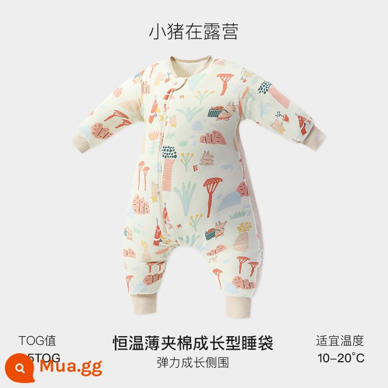 Túi ngủ trẻ em Griny mùa thu đông dày dặn bé chia chân mùa xuân và mùa thu túi ngủ tiết diện mỏng cotton nguyên chất chăn chống đá trẻ em nhiệt độ không đổi - Cắm trại cho heo con (chăn mỏng ở nhiệt độ không đổi, tấm bên)