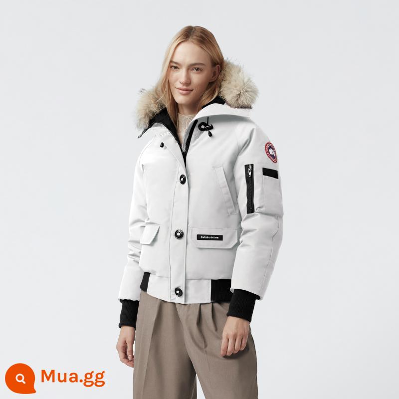 CANADA GOOSE Áo khoác bomber Canada Goose Chilliwack Áo khoác bomber nữ 7999L - 433 Bắc Đẩu Bạch Tinh