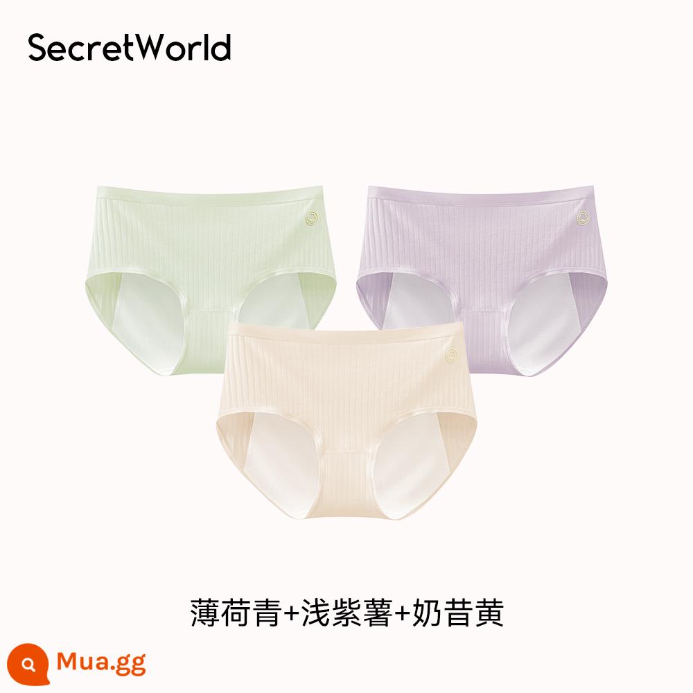 sw quần cotton sinh lý sw - Xanh bạc hà + Khoai lang tím nhạt + Vàng sữa lắc 3 gói