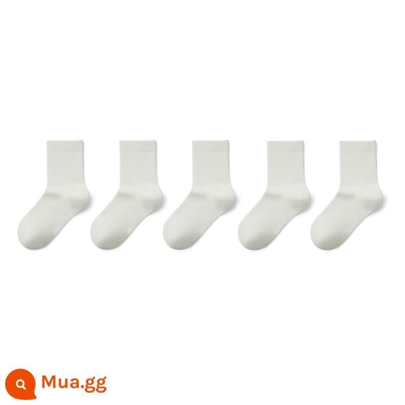 Có một loại tất cây Tất nữ mùa xuân hè đến giữa bắp chân cotton nguyên chất kháng khuẩn khử mùi thể thao vớ trắng vớ mùa hè - [kiểu kháng khuẩn 5A I]Trắng nguyên bản+Trắng nguyên bản+Trắng nguyên bản+Trắng nguyên bản+Trắng nguyên bản