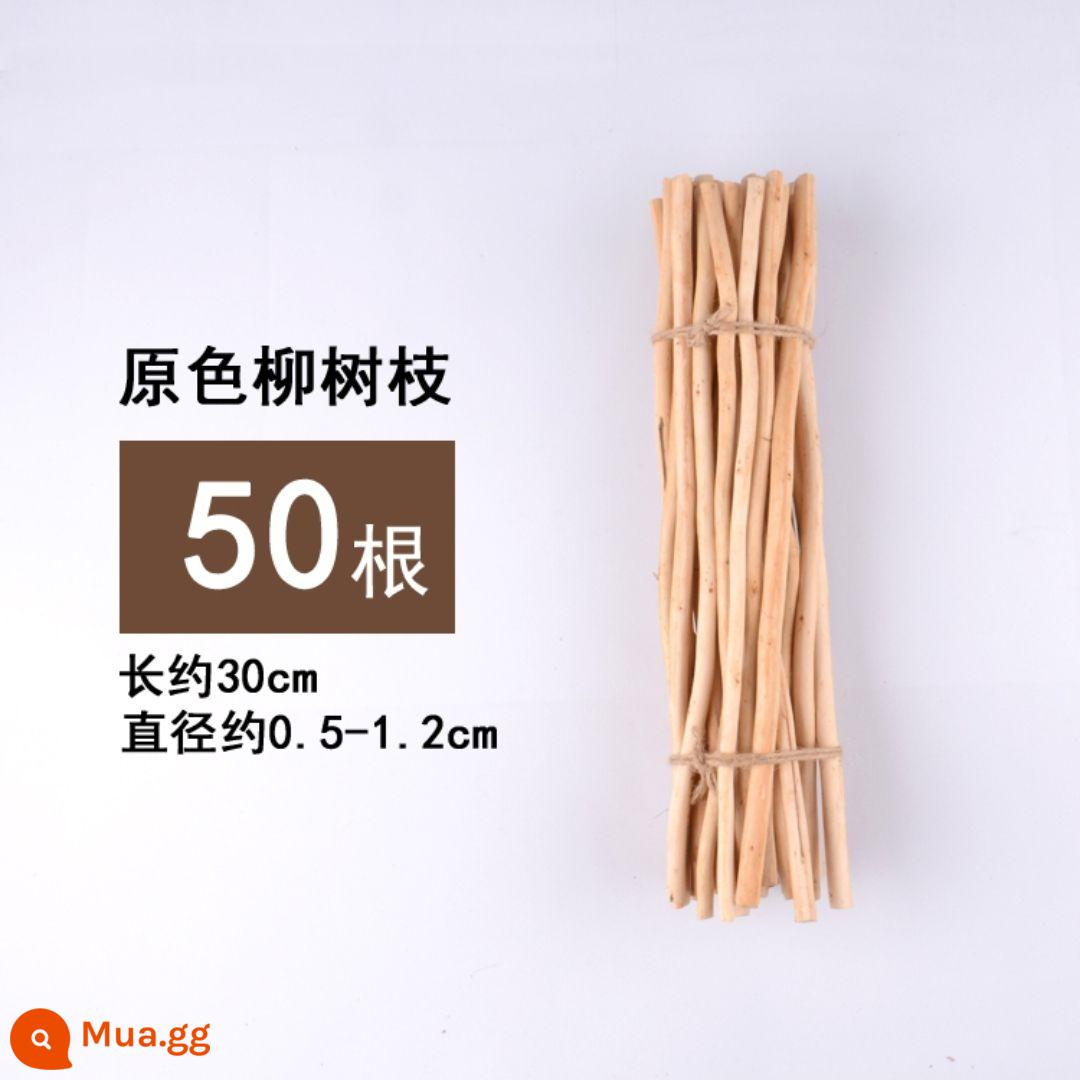 Khúc gỗ khô nhánh mẫu giáo handmade tự làm sáng tạo trang trí nhà cảnh bố trí phòng khách thanh gỗ nhỏ Sen Cục - Khúc gỗ liễu màu 30 cm 50 cái/bó