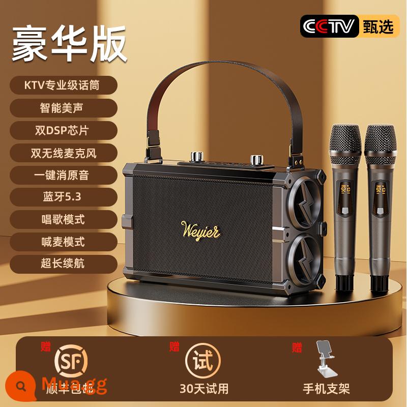 Bộ âm thanh nhà KTV K bài hát micro Tất cả karaoke Loa Bluetooth micro nhà ngoài trời bộ hoàn chỉnh - [Phiên bản cao cấp] Bel Canto thông minh ✅ Super Bass ✅ Micro không dây kép