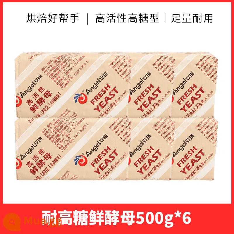 Bột men khô hoạt tính cao ít đường Angel 500g mì ăn liền thương mại, bánh bao hấp, bánh bao hấp, bột nở bánh ngọt Trung Quốc - Men tươi kháng đường cao 500g*6 miếng [giao trong hộp cách nhiệt có đá]