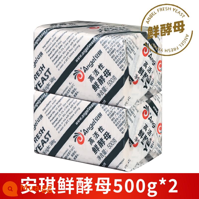 Bột men khô hoạt tính cao ít đường Angel 500g mì ăn liền thương mại, bánh bao hấp, bánh bao hấp, bột nở bánh ngọt Trung Quốc - Men tươi ít đường 500g*2 miếng [giao trong hộp cách nhiệt có đá]