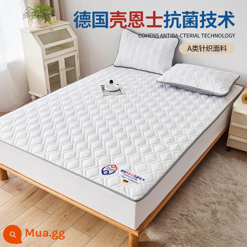 Ga trải giường loại A cotton thô đơn mảnh chần bông kháng khuẩn 2022 bộ ga trải giường mới Simmons chống bụi nệm 3 mẫu mùa đông - Vỏ Đức kháng khuẩn - trắng nhạt