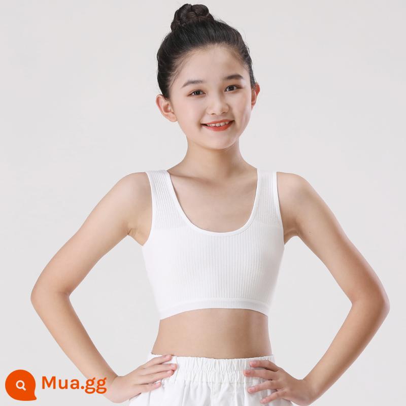 Đồ lót bé gái áo vest sling phát triển sớm cotton nguyên chất chống lồi ống áo ngực bé gái học sinh trung học cơ sở 8-16 tuổi - một mảnh màu trắng