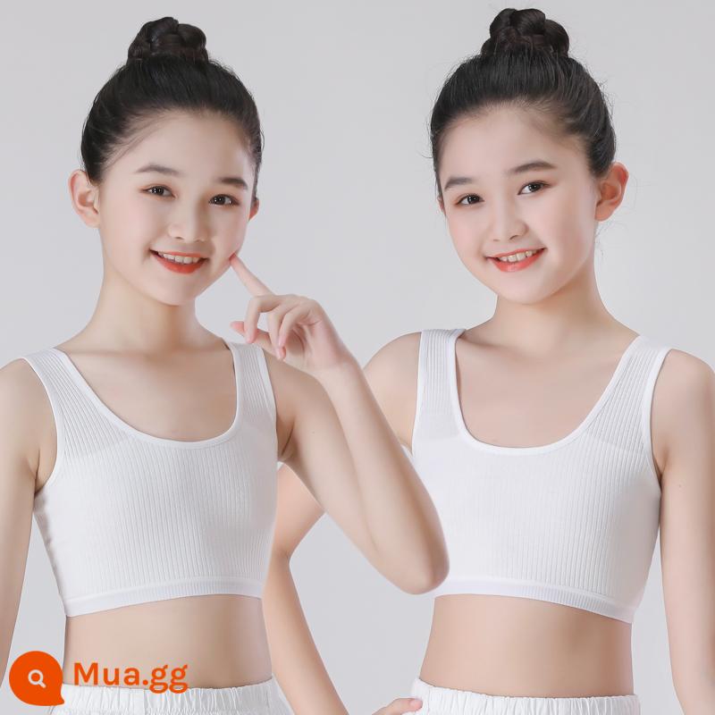 Đồ lót bé gái áo vest sling phát triển sớm cotton nguyên chất chống lồi ống áo ngực bé gái học sinh trung học cơ sở 8-16 tuổi - hai mảnh màu trắng