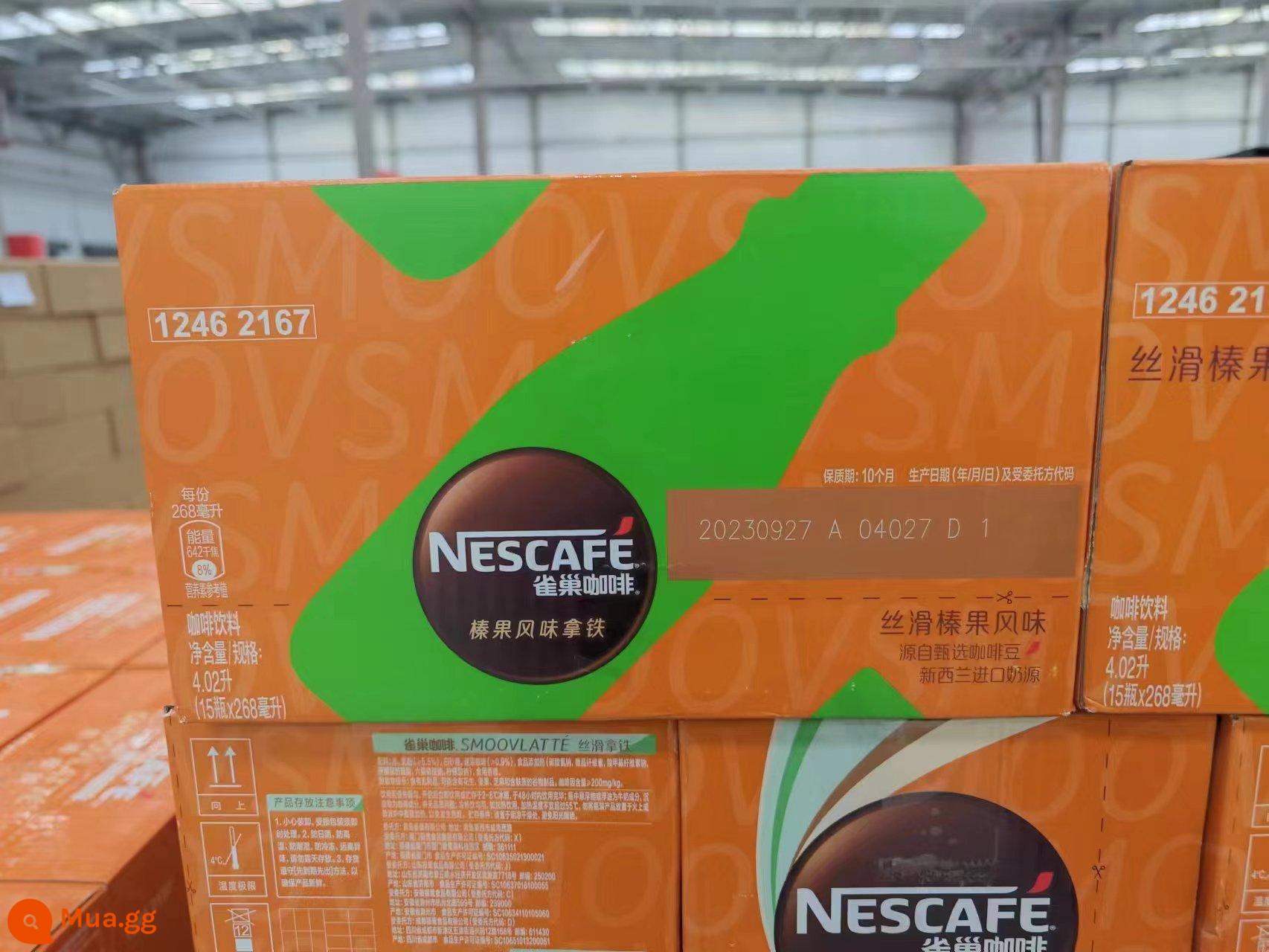 Nescafé Silky Latte 268mlx15 chai full box nước giải khát pha sẵn giá cực tốt - Latte vị hạt dẻ 15 chai