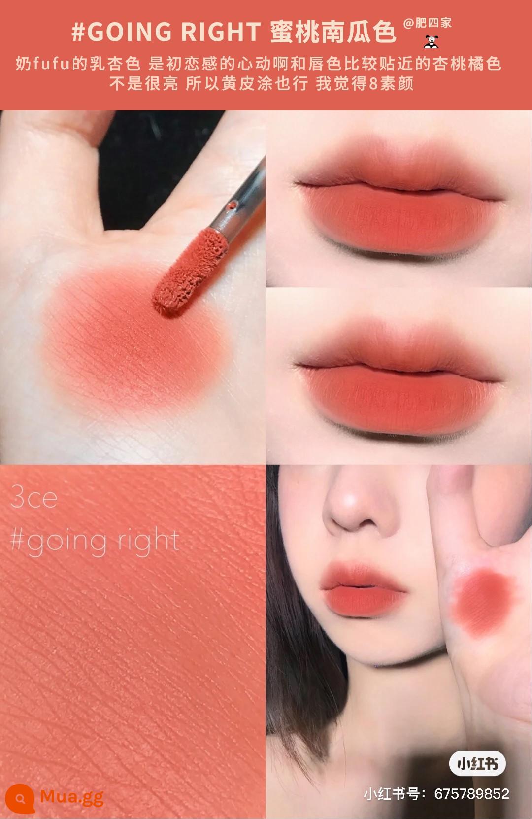 Son Spot 3CE son bóng giá phải chăng sinh viên niche Matte Matte Velvet Retro Matte Lipstick Hàn Quốc - Nhung #Đi đúng bí đào đào