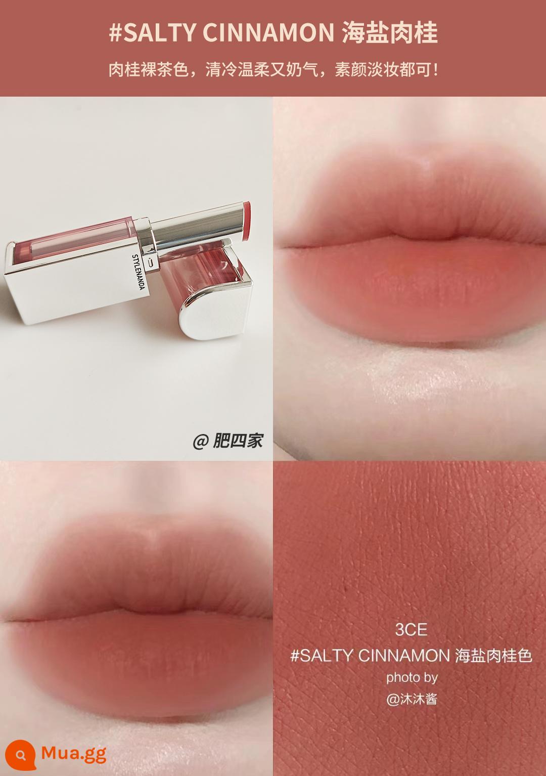 Son Spot 3CE son bóng giá phải chăng sinh viên niche Matte Matte Velvet Retro Matte Lipstick Hàn Quốc - Son môi dạng sương mềm trong suốt vỏ bạc #SALTY CINNAMON