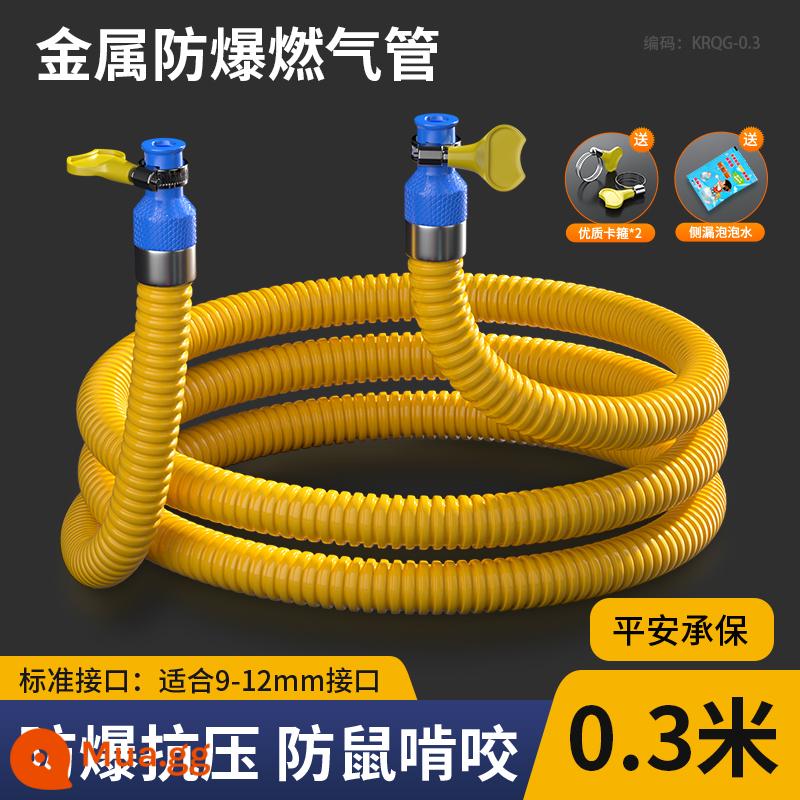 Ống gas gia dụng ống gas gas hóa lỏng lò gas chống cháy nổ ống nối kim loại thép không gỉ đặc biệt - Nâng cấp hoàn toàn mới 0,3 mét [hữu ích cho cuộc sống]