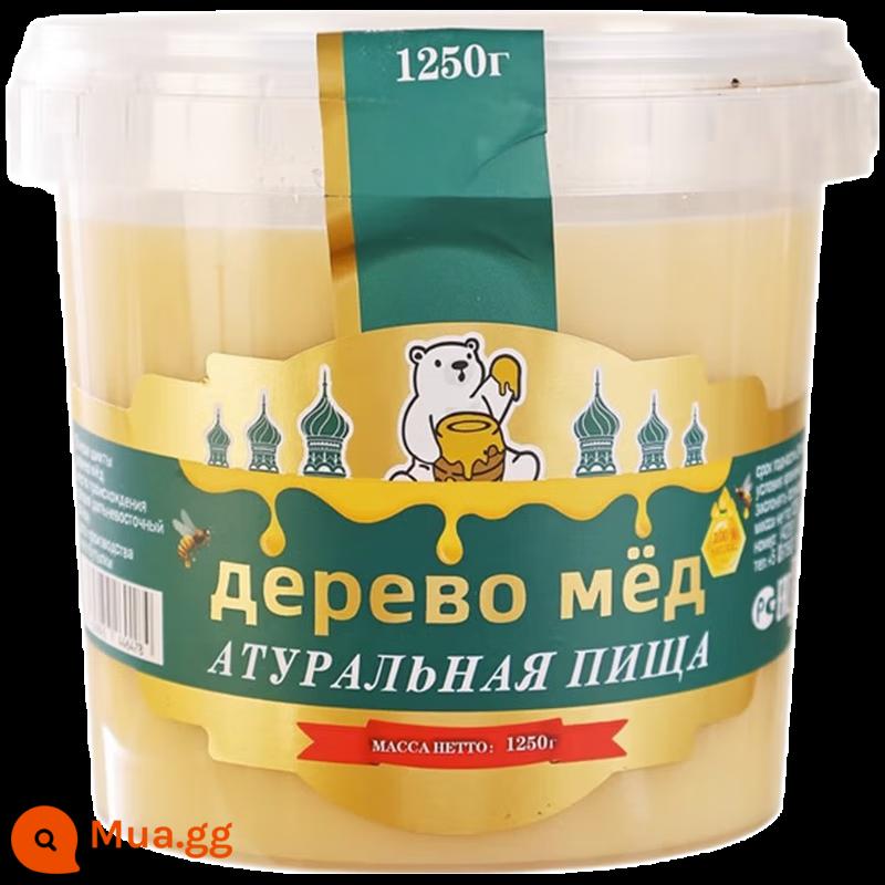 Nga nhập khẩu mật ong cây bồ đề nguyên chất mật ong tuyết tự nhiên đích thực hoang dã kết tinh tổ ong trưởng thành hộp quà tặng - Mật ong cây bồ đề 1250g [thùng giá phải chăng]