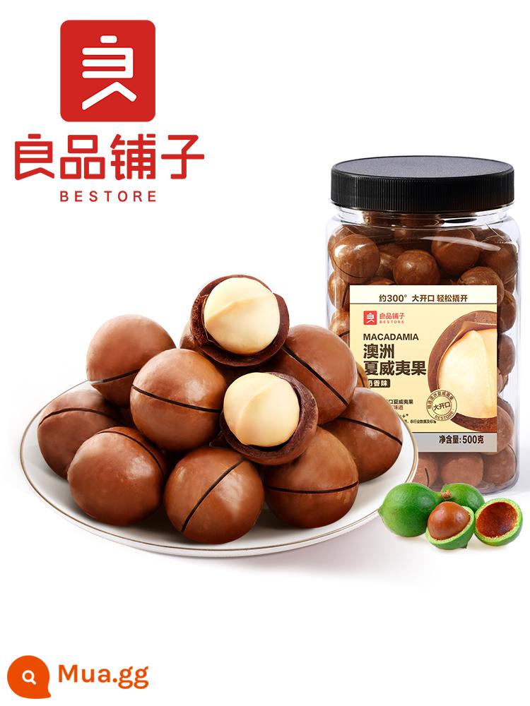 [BESTORE-Hạt Macadamia đóng hộp 500g] Trái cây sấy khô vị sữa Phụ nữ mang thai Các loại hạt sấy khô Món ăn vặt năm mới - [Hot Style-Trái cây to] Hạt Macadamia 500g×1 lon (đường kính 21,5-24mm)