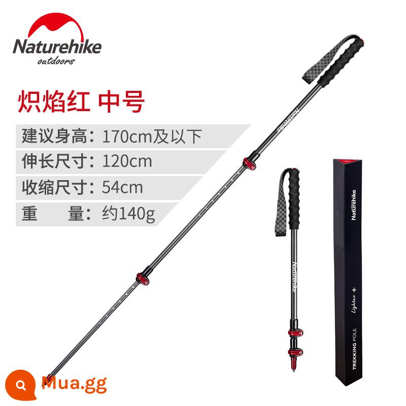 Thanh leo bằng sợi carbon buổi sáng carbon Ultra -đèn kính thiên văn nam và nữ leo núi ngoài trời leo núi đi bộ đường dài - Hộp quà màu đỏ rực (120CM) (0,15kg/40ps)