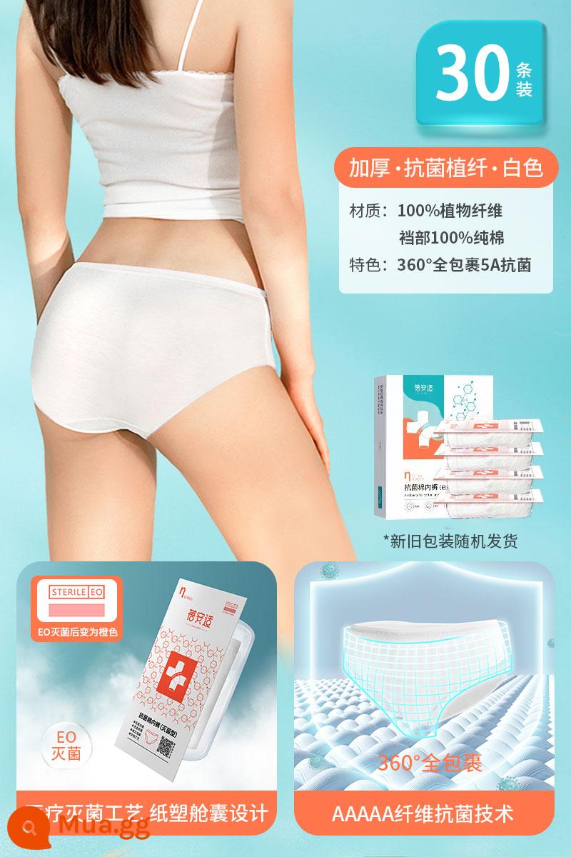 Bei'anshi đồ lót dùng một lần của phụ nữ cotton nguyên chất vô trùng du lịch nam quần short kích thước lớn hàng ngày giam cầm thai sản dùng một lần 30 miếng - [Mô hình dày kháng khuẩn 5A*30 ngày] Trồng bông vô trùng cho phụ nữ