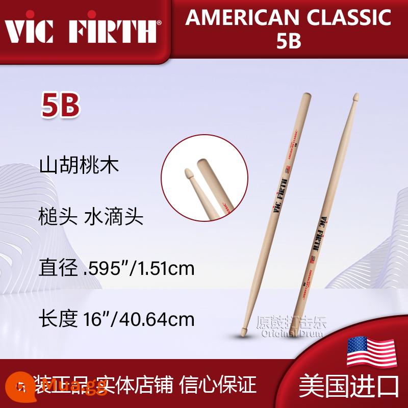 Gậy trống VF trống Vic Firth nhập khẩu Mỹ chuyên nghiệp phổ biến trống jazz trống luyện chữ ký trống búa - Máy nhỏ giọt nước gỗ 5B