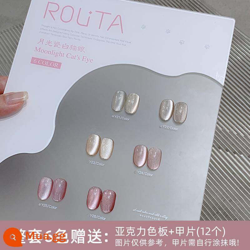 Trắng Ánh Trăng Gốm Mắt Mèo Sơn Móng Tay Keo 2024 New Rock Sugar Crystal Cat's Eye Keo Thu Đông Làm Trắng Móng Tay Cửa Hàng Nghệ Thuật Sử Dụng - TZ068 Moonlight Sứ Trắng Mắt Mèo 21-26 Bộ 6 Màu Khung Ảnh Miễn Phí