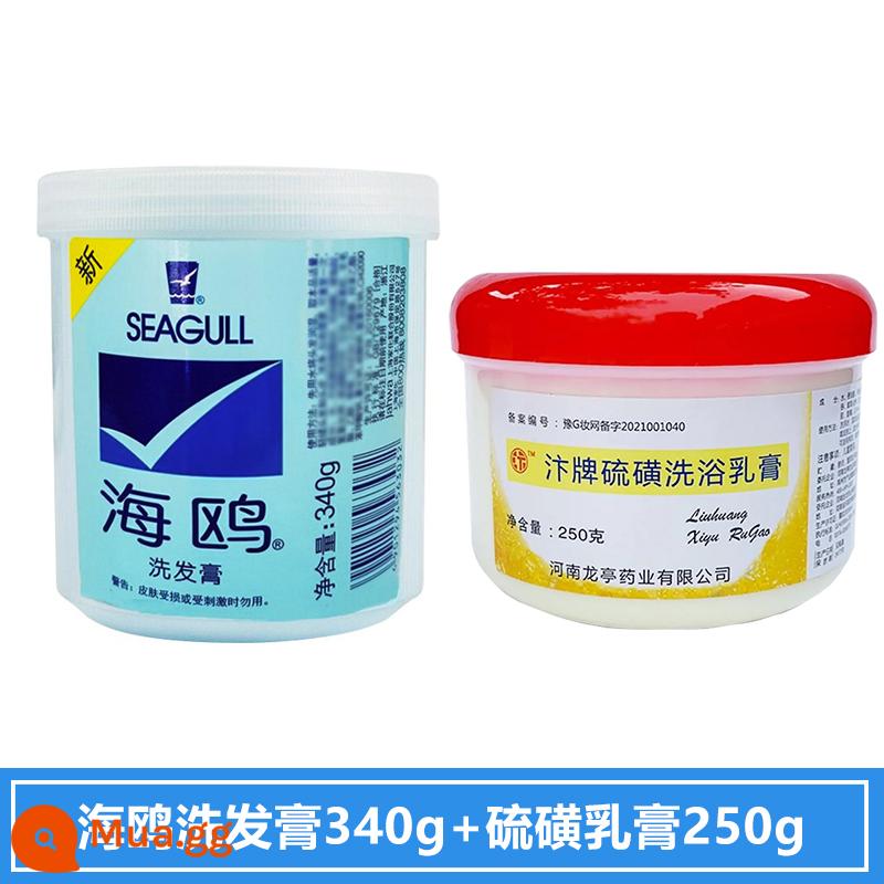 Trong nước Thượng Hải Seagull Big Bucket Dầu gội Kem Dầu gội trong nước Dầu gội sau thập niên 80 Lưu huỳnh hàng đầu Cửa hàng - Dầu gội trị gàu 340g + kem lưu huỳnh 250g