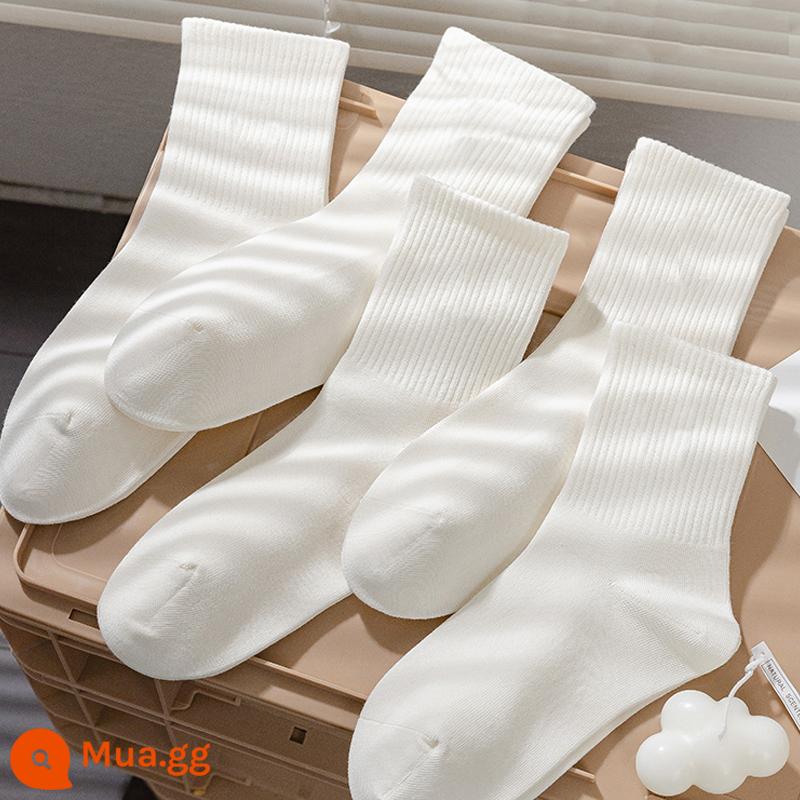 Vớ trắng nữ mùa hè mỏng phần vớ cotton ống giữa giày lười không xương ống dài vớ đen thể thao xuân thu vớ nam - 10 đôi - trắng [Giá cực tốt! ]