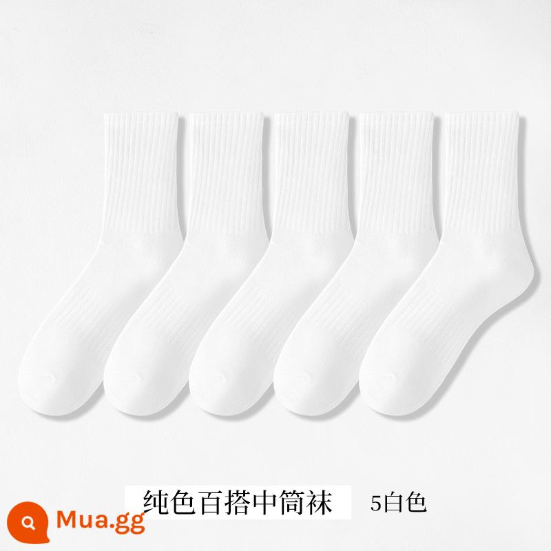 Tất Nam Xuân Thu Cotton Giữa Bắp Chân Thấm Hút Mồ Hôi Và Thoáng Khí Mùa Đông Dày Dài Trắng Đen Đôi Tất Thể Thao - 5 đôi - trắng