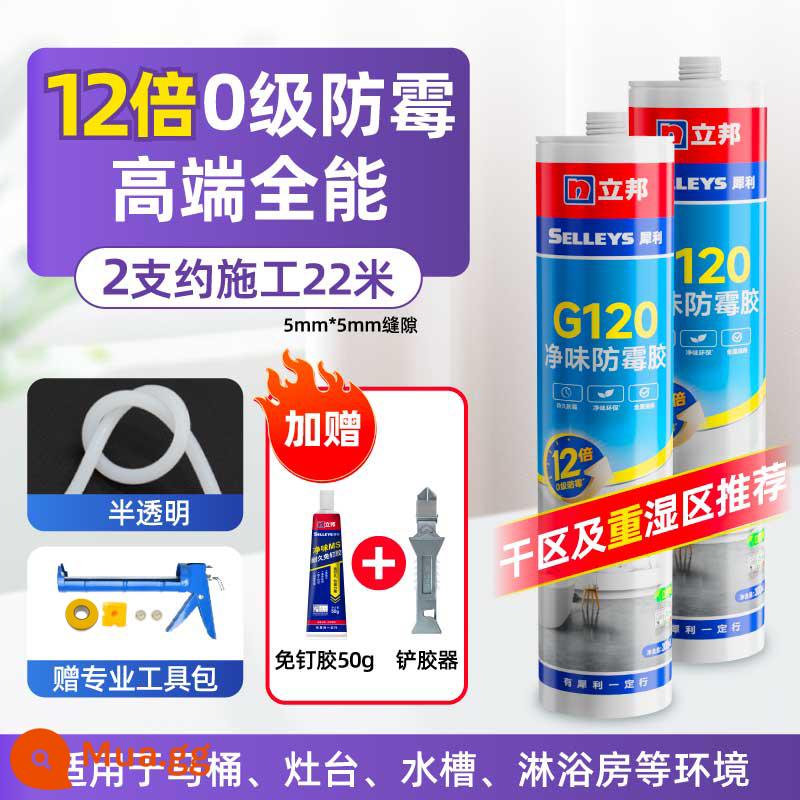 Keo dán kính Libang nhà bếp và phòng tắm cửa ra vào và cửa sổ nhà bếp không thấm nước và chống nấm mốc keo làm đẹp trung tính trong suốt mạnh mẽ keo kết cấu keo dán - [⭐Đa năng cao cấp 12 lần 0 cấp Chống nấm mốc + cạo keo + chống dính móng tay] Chống nấm mốc không mùi 300ml*2 trong suốt - Dụng cụ đi kèm