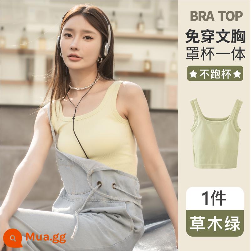 Áo vest nữ mặc bên trong mùa hè đai mỏng đệm ngực màu trắng nhỏ xinh lưng vest áo ngực tích hợp đáy áo khoác ngoài áo khoác - [cỏ và cây xanh]