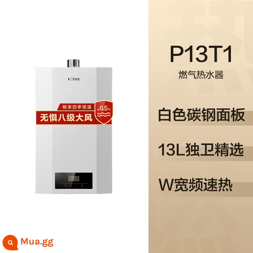 Máy nước nóng Fangtai P16T1/T2/P13T1 gas gia dụng gas nhiệt độ không đổi tắm mạnh hàng 16L chính thức - Muối tinh trắng 13 lít