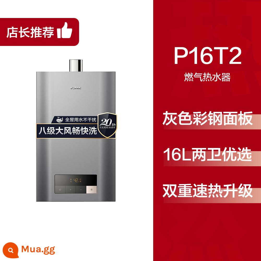 Máy nước nóng Fangtai P16T1/T2/P13T1 gas gia dụng gas nhiệt độ không đổi tắm mạnh hàng 16L chính thức - màu xám 16 lít