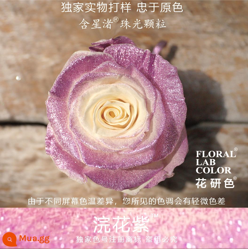 Flower Research color phun sơn phun màu đại lý thuốc nhuộm tóc chính hãng Michigan crush ice blue cao cấp màu Morandi - Hạt ngọc trai Huanhua Zi® 70# Xingzhu