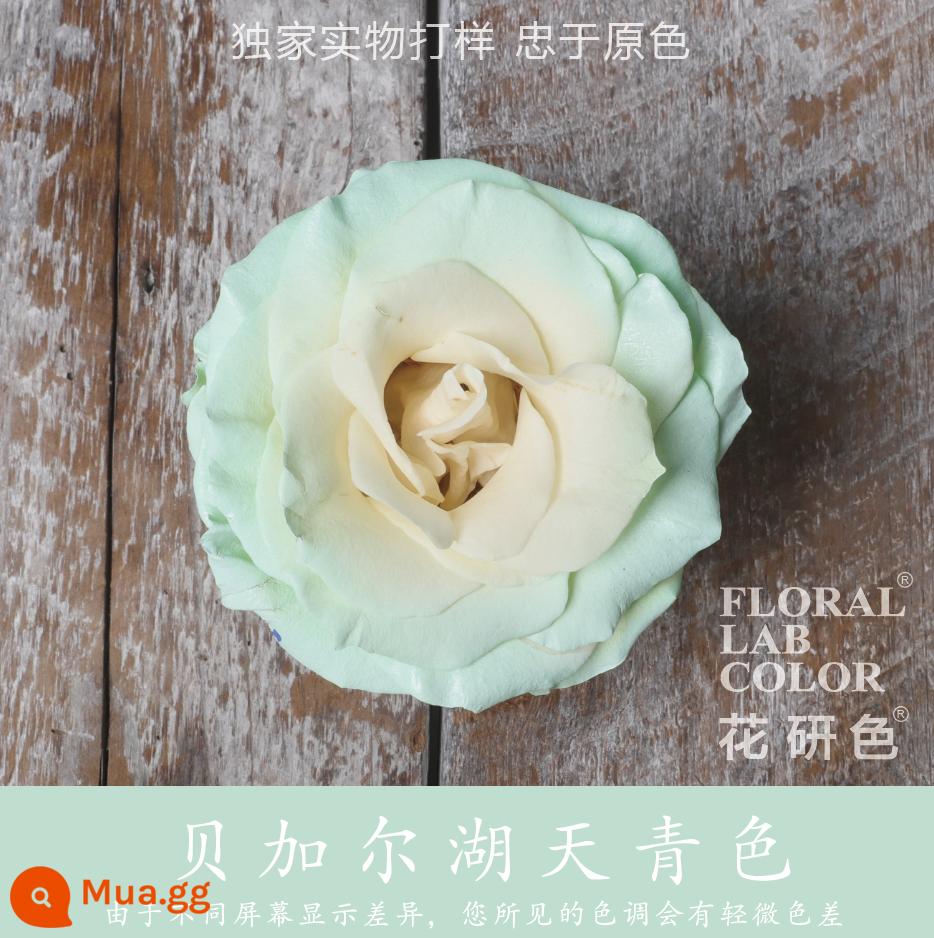 Flower Research color phun sơn phun màu đại lý thuốc nhuộm tóc chính hãng Michigan crush ice blue cao cấp màu Morandi - Xanh nhạt 13# Hồ Baikal Azure