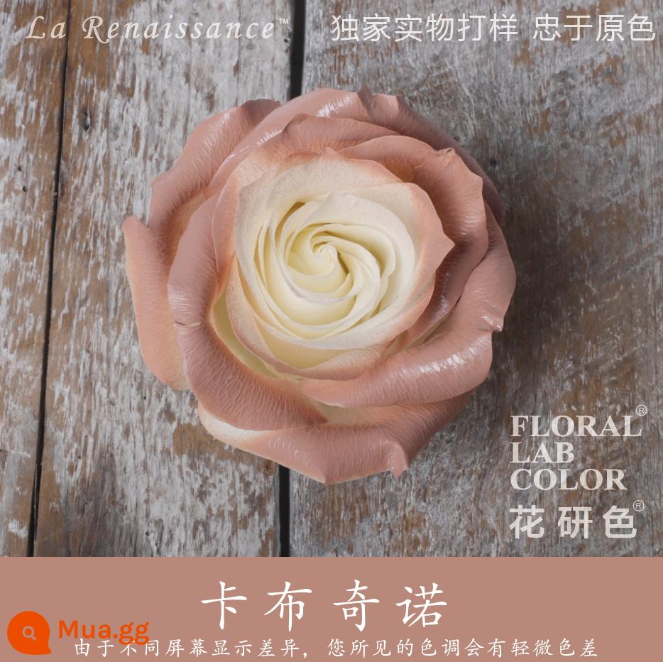 Flower Research color phun sơn phun màu đại lý thuốc nhuộm tóc chính hãng Michigan crush ice blue cao cấp màu Morandi - Cappuccino 34#