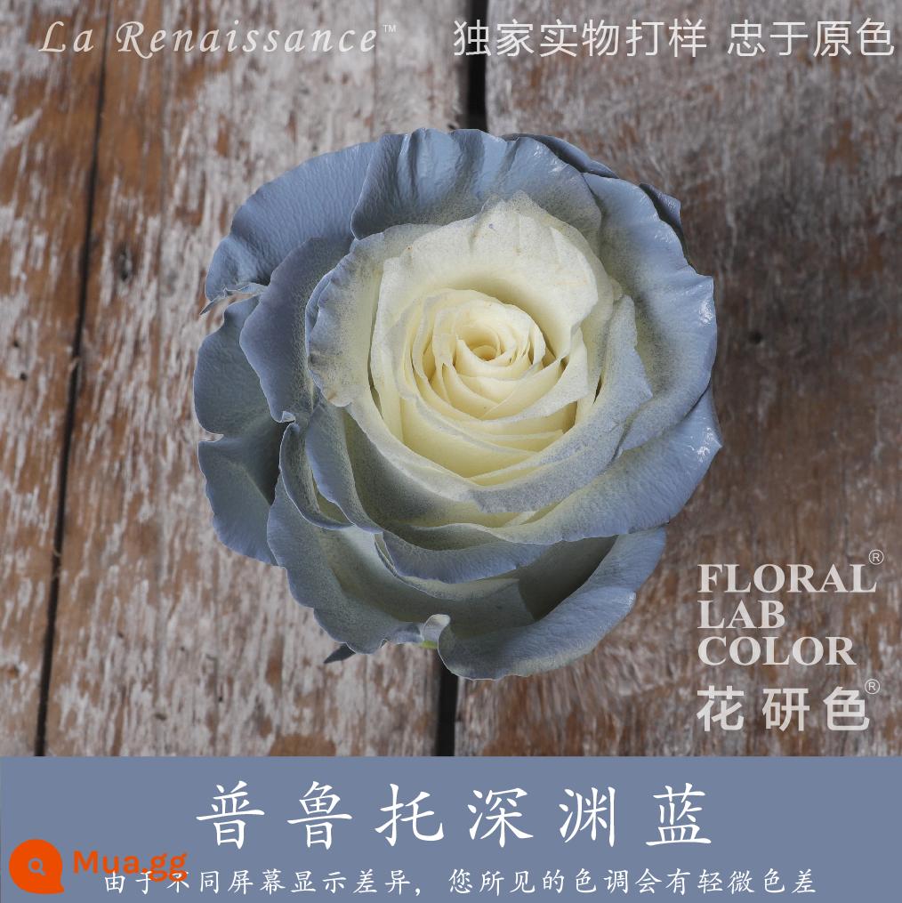 Flower Research color phun sơn phun màu đại lý thuốc nhuộm tóc chính hãng Michigan crush ice blue cao cấp màu Morandi - Pluto Abyss Grey Blue® R002#