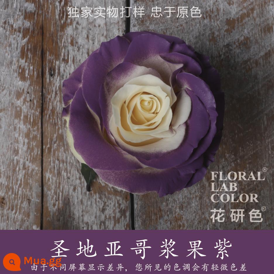 Flower Research color phun sơn phun màu đại lý thuốc nhuộm tóc chính hãng Michigan crush ice blue cao cấp màu Morandi - Màu Tím Đậm 07# San Diego Berry Tím