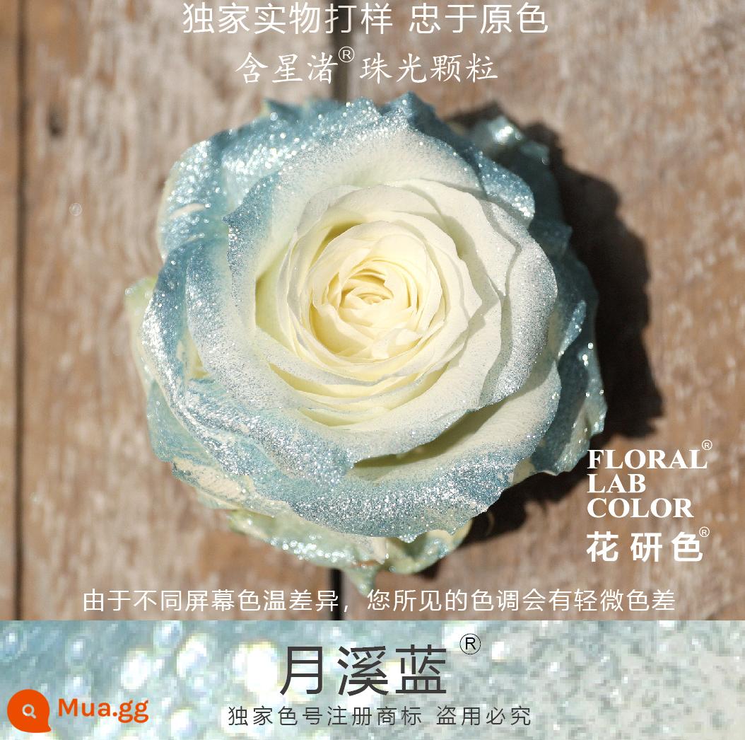 Flower Research color phun sơn phun màu đại lý thuốc nhuộm tóc chính hãng Michigan crush ice blue cao cấp màu Morandi - Hạt ngọc trai Yuexi Blue® 68# Xingzhu