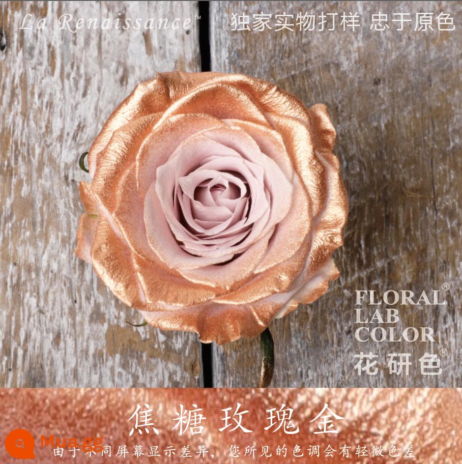 Flower Research color phun sơn phun màu đại lý thuốc nhuộm tóc chính hãng Michigan crush ice blue cao cấp màu Morandi - Vàng hồng caramel 57#