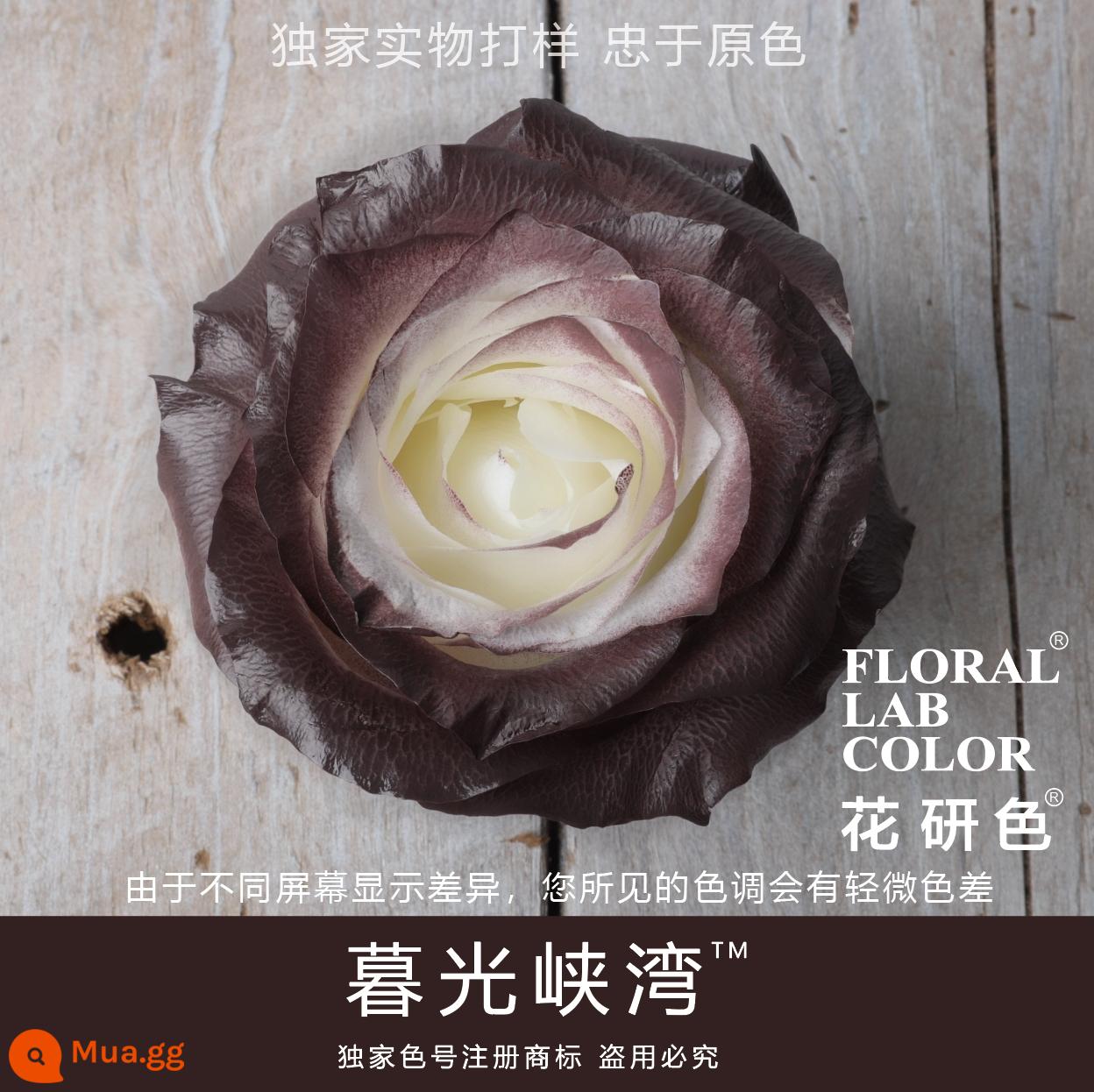 Flower Research color phun sơn phun màu đại lý thuốc nhuộm tóc chính hãng Michigan crush ice blue cao cấp màu Morandi - Vịnh hẹp Chạng vạng 74#