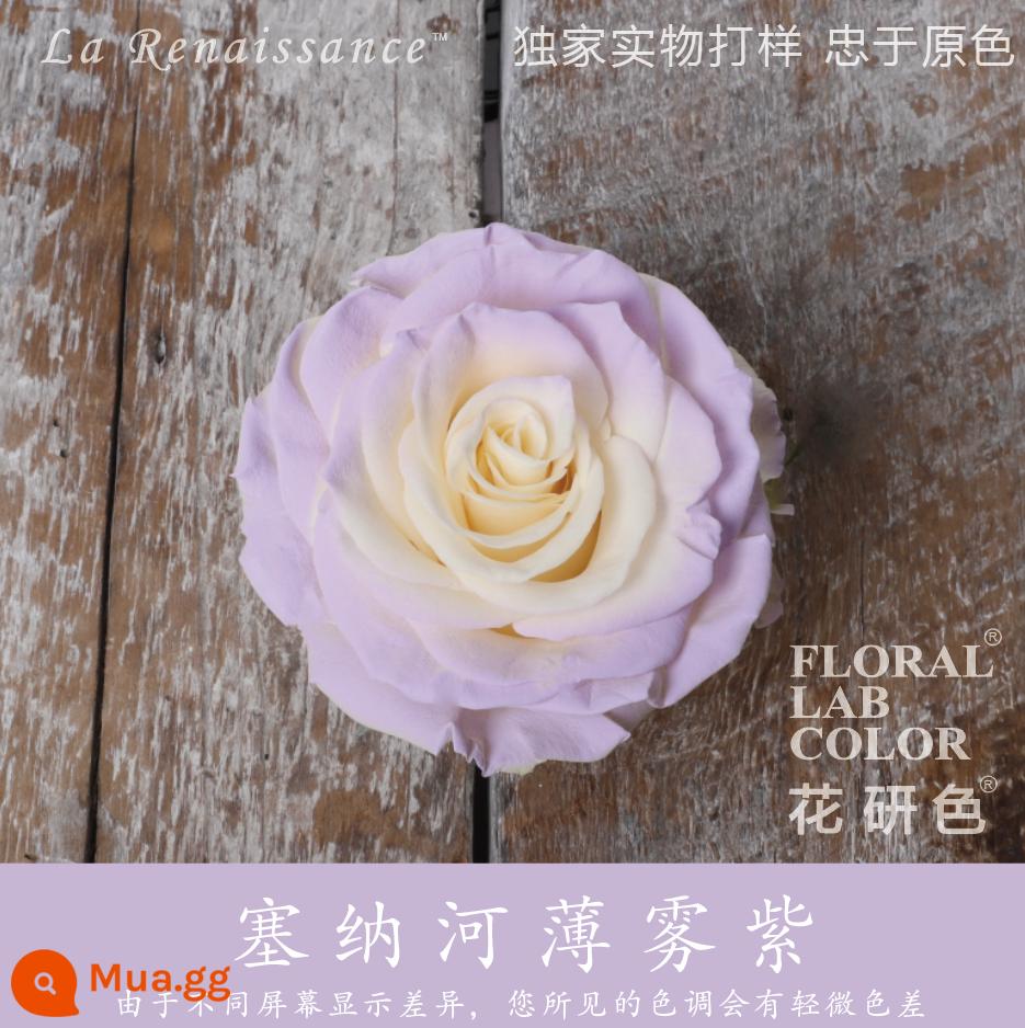 Flower Research color phun sơn phun màu đại lý thuốc nhuộm tóc chính hãng Michigan crush ice blue cao cấp màu Morandi - Seine Mist Tím® 40#